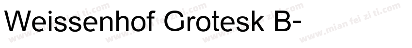 Weissenhof Grotesk B字体转换